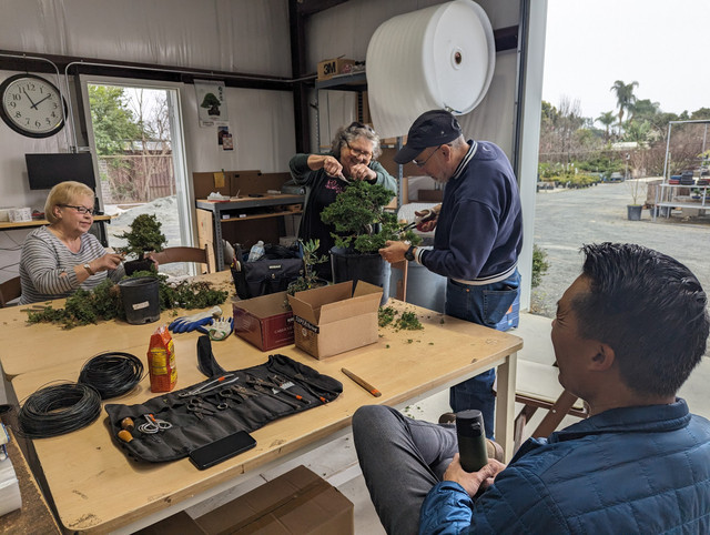 Eastern Leaf Bonsai Community Meeting February 17, 2024