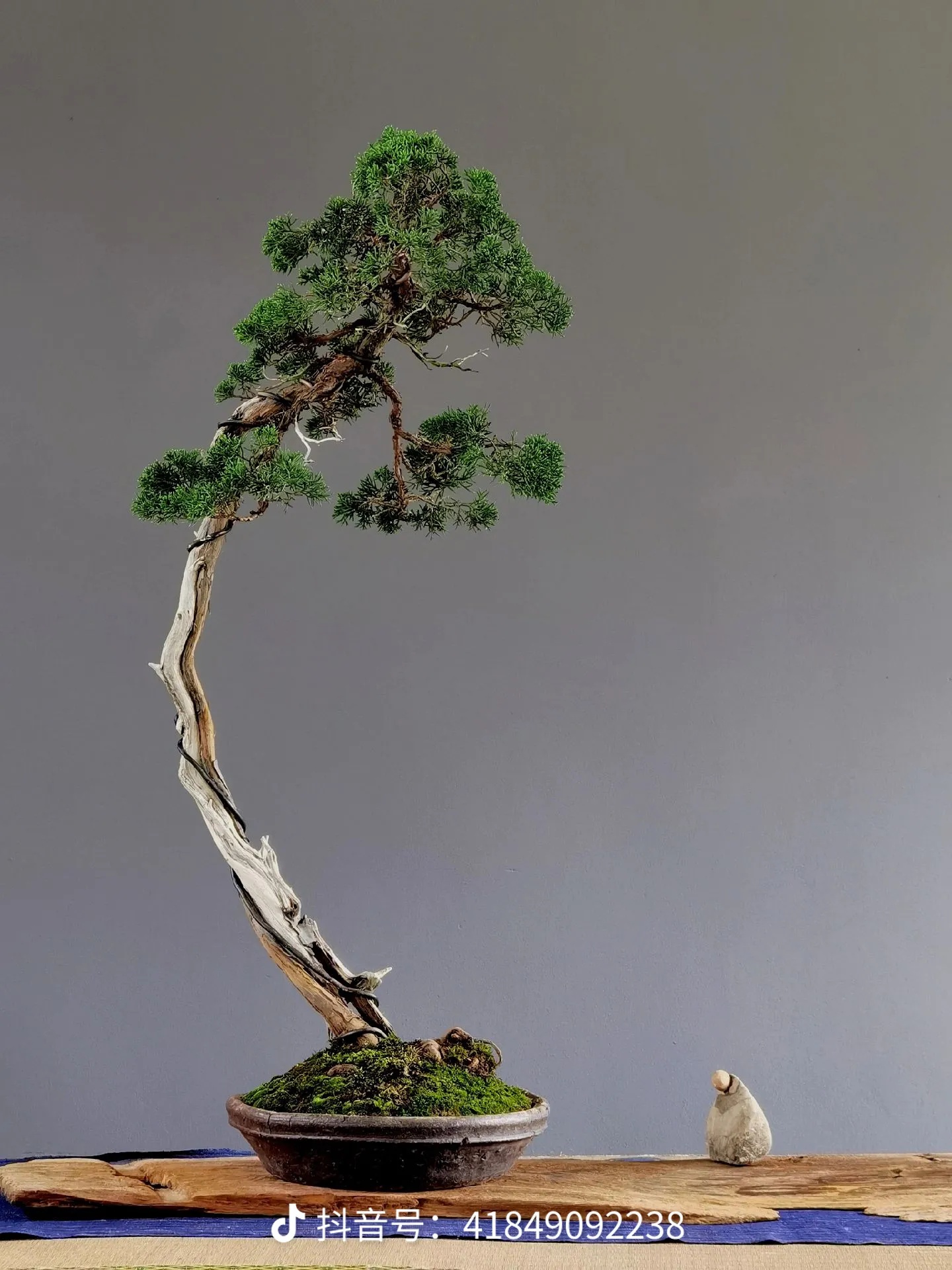 微信图片_20250710160957