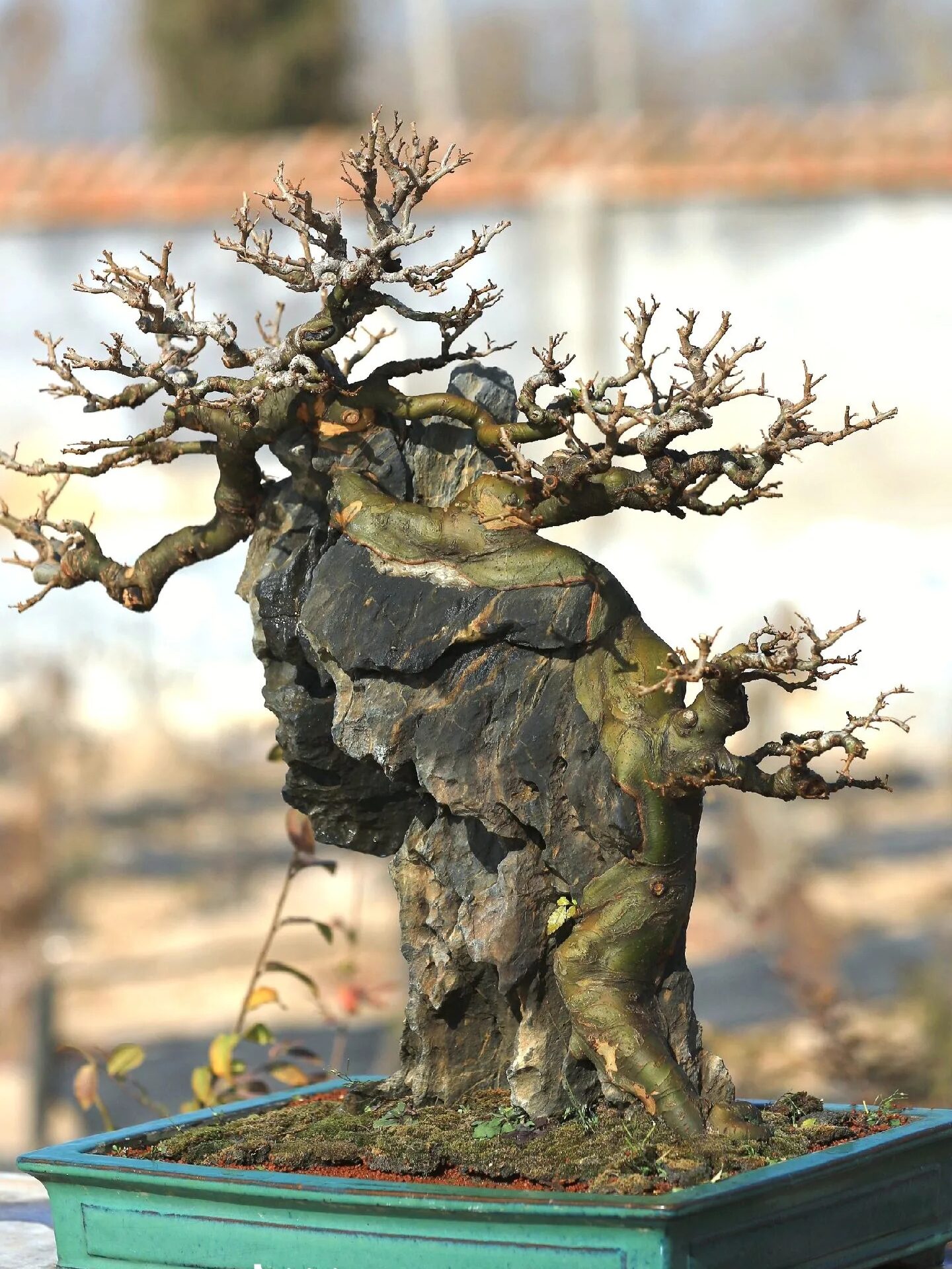 微信图片_20250710161658