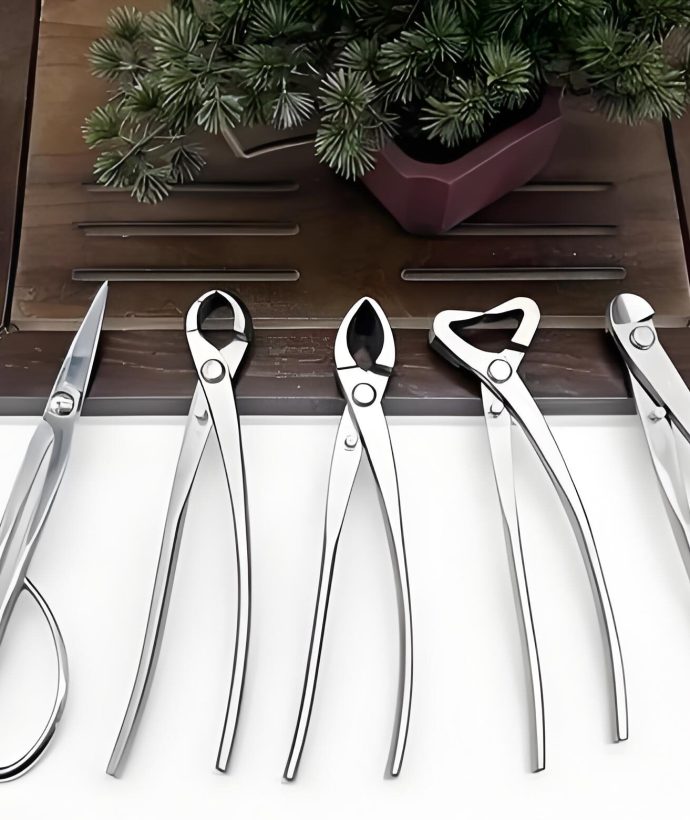 微信图片_20250711100149